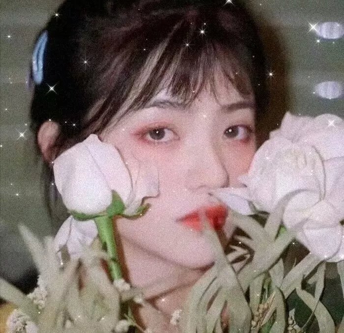 泡芙小姐